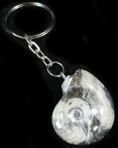 Fossil Goniatite Keychain #26163